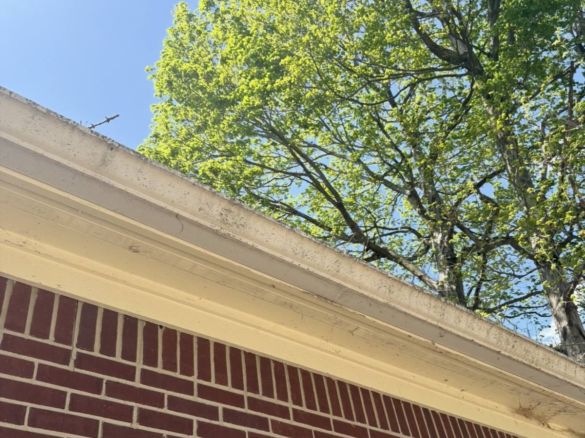 Before: white gutters and fascia on a brick home streaked with dark grime